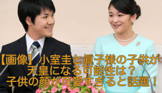 【画像】小室圭と眞子様の子供が天皇になる可能性は？子供の顔が可愛すぎると話題！